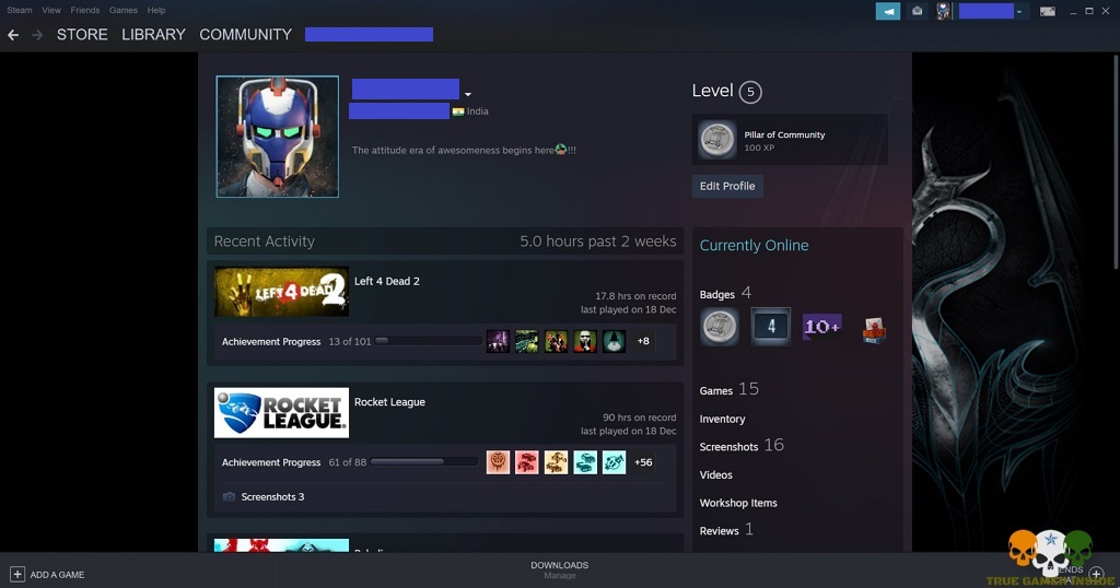steam profile